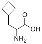 DL-Cyclobutylalanine