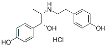 RITODRINE HYDROCHLORIDE