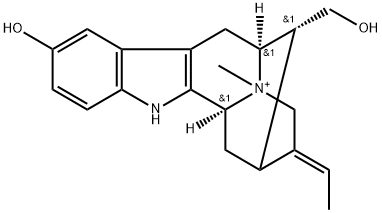 spegatrine