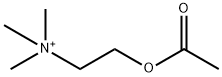 Acetylcholine