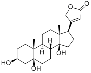 periplogenin