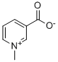 Trigonelline