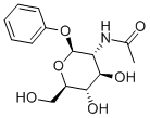 PHENYL-N-ACETYL-BETA-D-GLUCOSAMINIDE