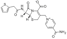 Cephalonium