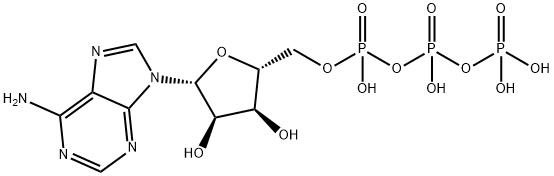 Adenosine triphosphate