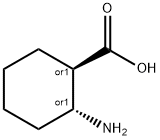 TRANS-2-AMINO-1-CYCLOHEXANECARBOXYLIC ACID