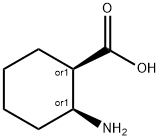CIS-2-AMINO-1-CYCLOHEXANECARBOXYLIC ACID