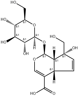 (1S,2S,6S,9R)-9-hydroxy-9-(hydroxymethyl)-2-[(2S,3R,4S,5R,6R)-3,4,5-trihydroxy-6-(hydroxymethyl)oxan-2-yl]oxy-3-oxabicyclo[4.3.0]nona-4,7-diene-5-carboxylic acid