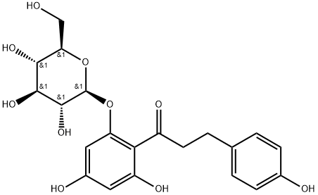 Phlorizin