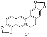 Coptisine chloride