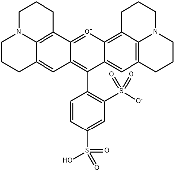 SULFORHODAMINE 101