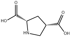 L-CIS-PYRROLIDINE-2,4-DICARBOXYLIC ACID