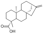 kaurenoic acid