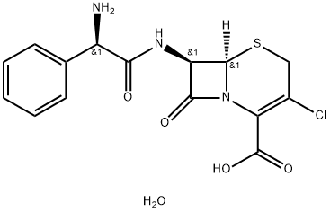 Cefaclor monohydrate