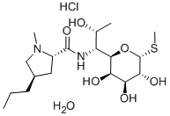 Lincomycin hydrochloride monohydrate