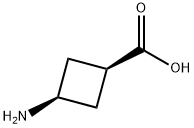 CIS-3-AMINOCYCLOBUTANECARBOXYLIC ACID