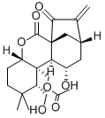 RABDOPHYLLIN G