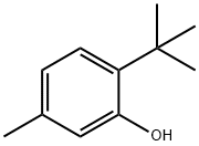 6-tert-Butyl-m-cresol