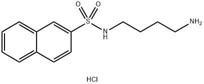N-(4-AMINOBUTYL)-2-NAPHTHALENESULFONAMIDE HYDROCHLORIDE