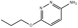 6-Propoxypyridazin-3-amine