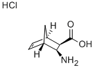DIEXO-3-AMINO-BICYCLO[2.2.1]HEPT-5-ENE-2-CARBOXYLIC ACID HYDROCHLORIDE