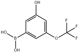 3-Hydroxy-5-(trifluoromethoxy)phenylboronic acid