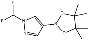 1-(difluoromethyl)-4-(4,4,5,5-tetramethyl-1,3,2-dioxaborolan-2-yl)-1H-pyrazole