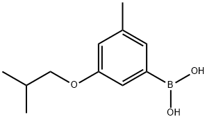 3-Isobutoxy-5-methylphenylboronic acid