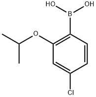 4-Chloro-2-isopropoxyphenylboronic acid