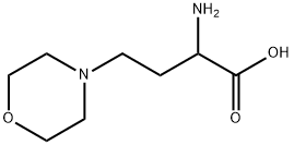 2-AMINO-4-MORPHOLIN-4-YL-BUTYRIC ACID