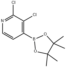 2,3-DICHLORO-4-(4,4,5,5-TETRAMETHYL-[1,3,2]-DIOXABOROLAN-2-YL)PYRIDINE